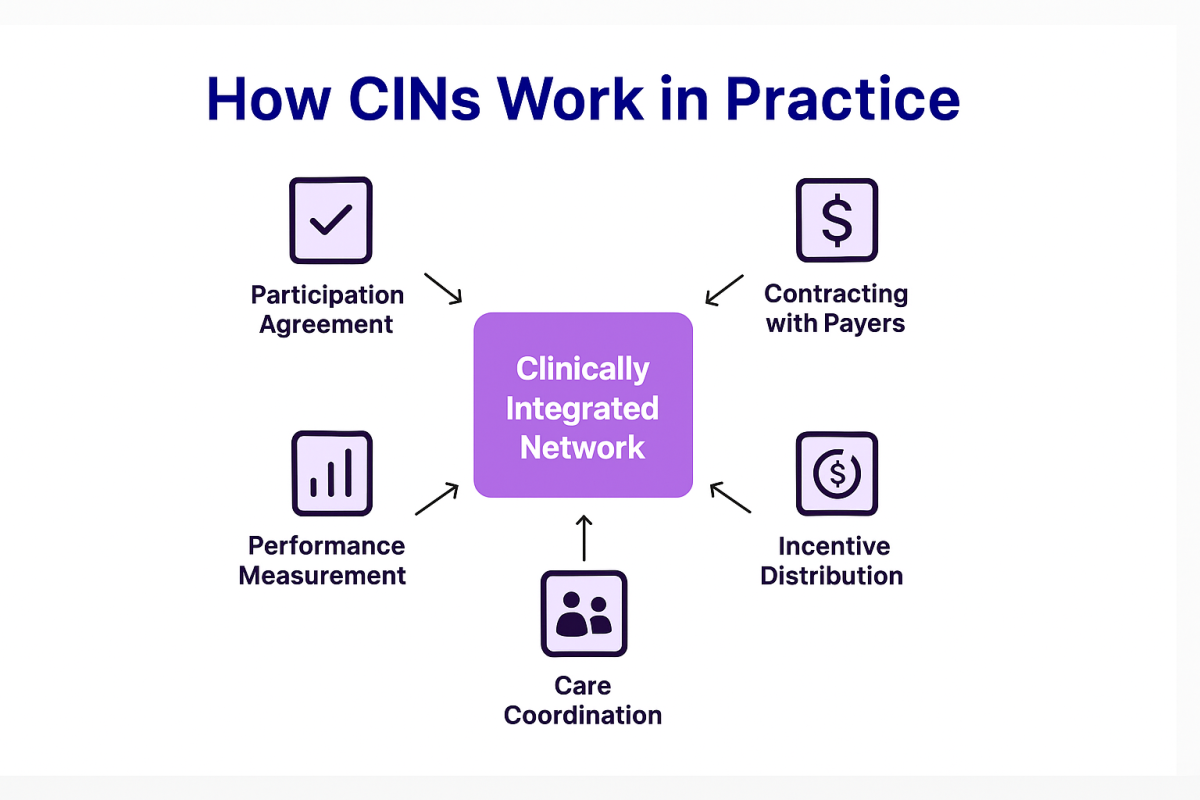 Chart explaining how CINs work in practice.